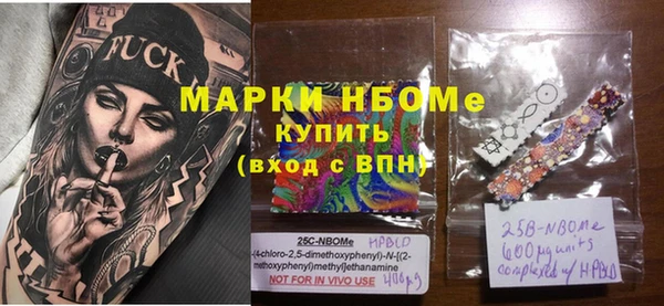 хмурый Лагань