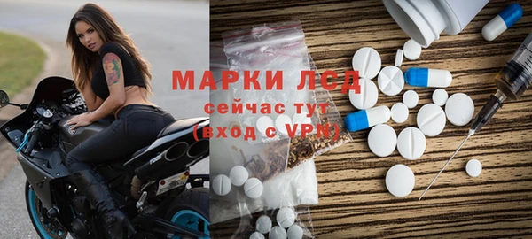 хмурый Лагань