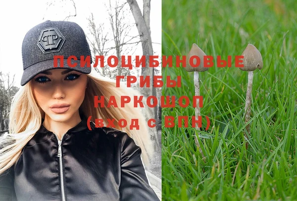 соль курить ск Лабытнанги