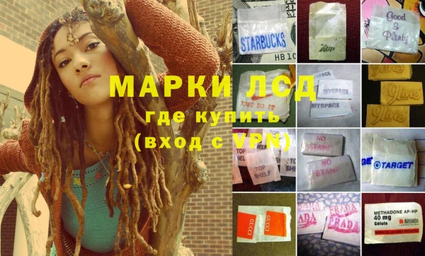 хмурый Лагань