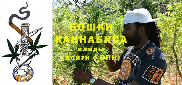 хмурый Лагань