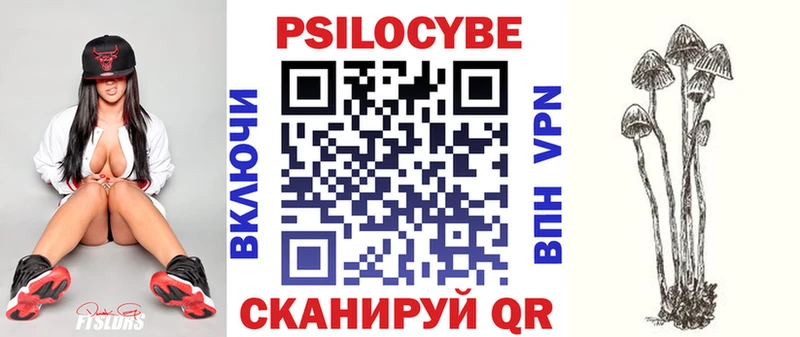 Купить  Кимовск  Псилоцибиновые грибы мухоморы 